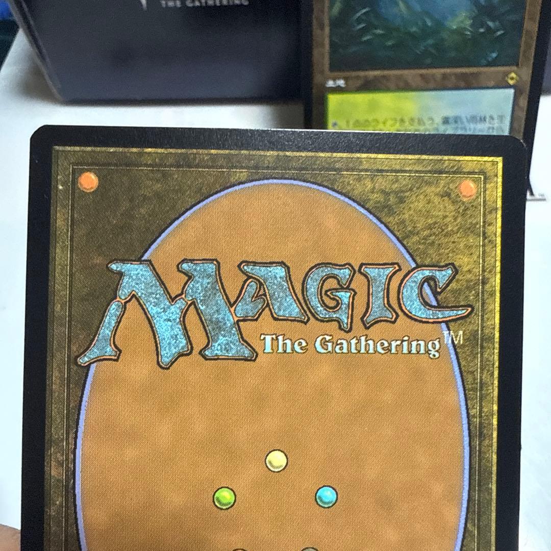 MTG 霧深い雨林 旧枠　エッチングfoil 日2枚