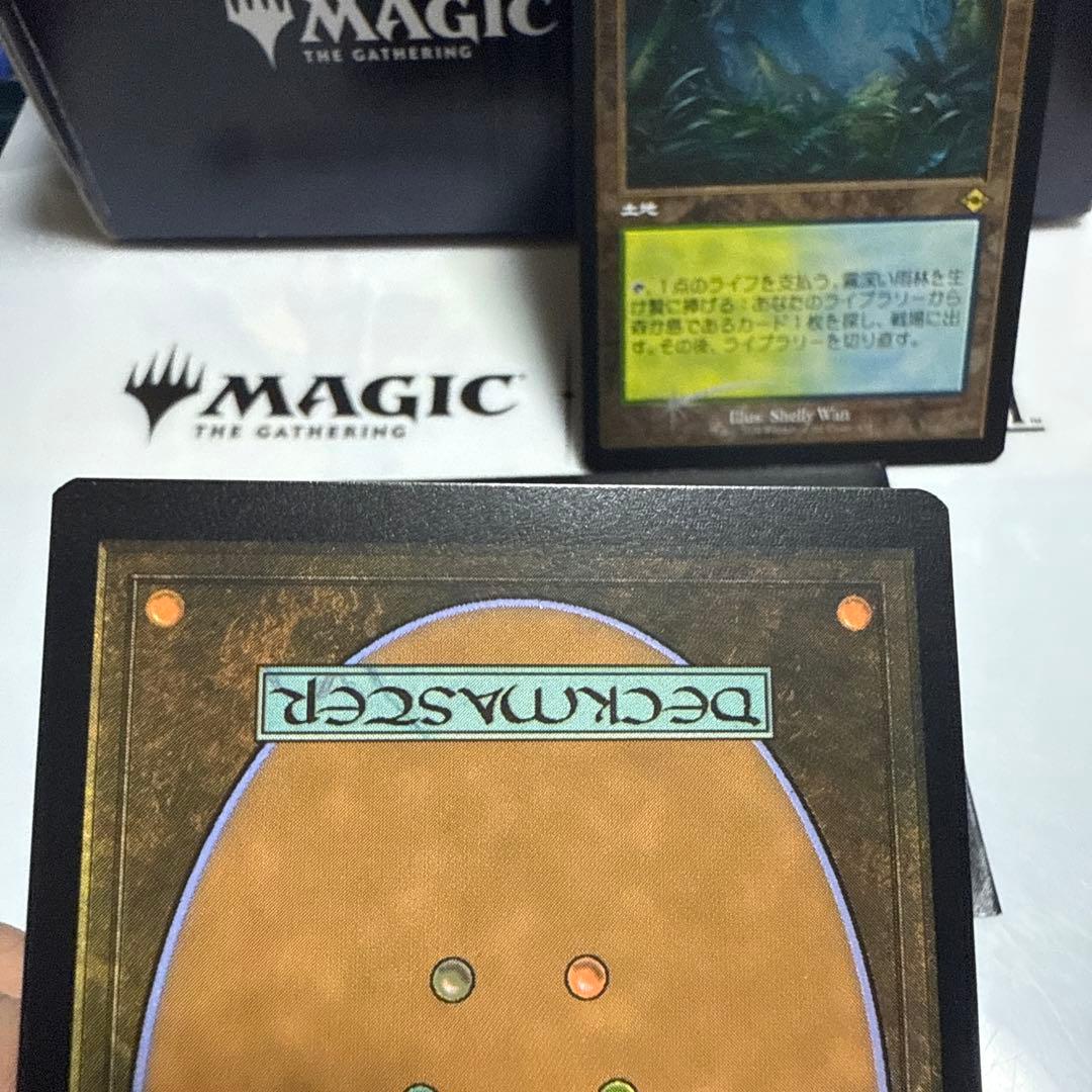 MTG 霧深い雨林 旧枠　エッチングfoil 日2枚