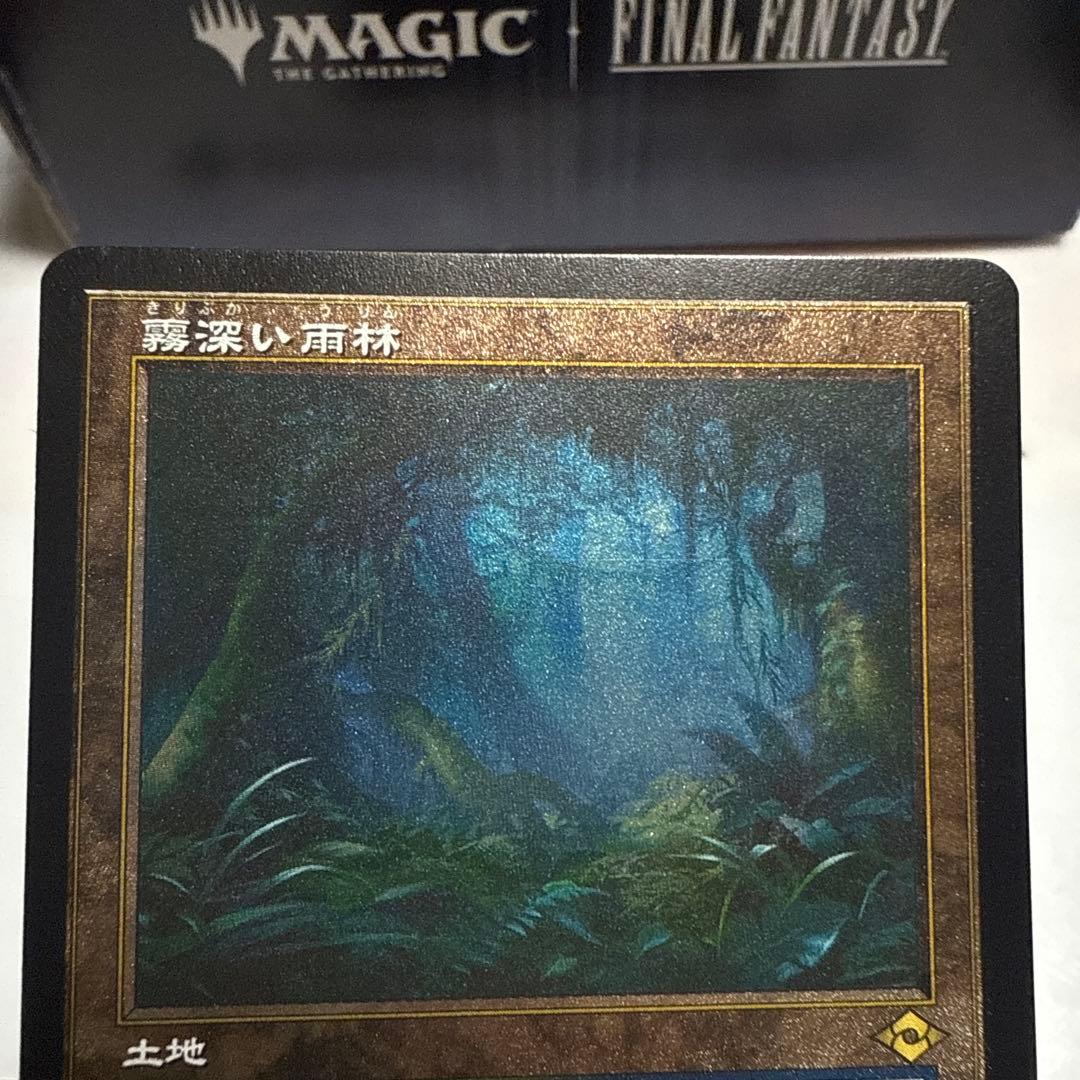 MTG 霧深い雨林 旧枠　エッチングfoil 日2枚