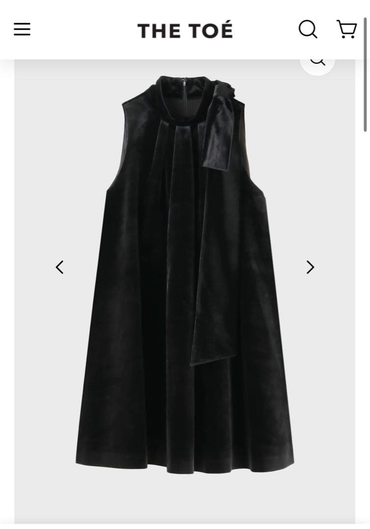 Heidelberg Dress THE TOÉ