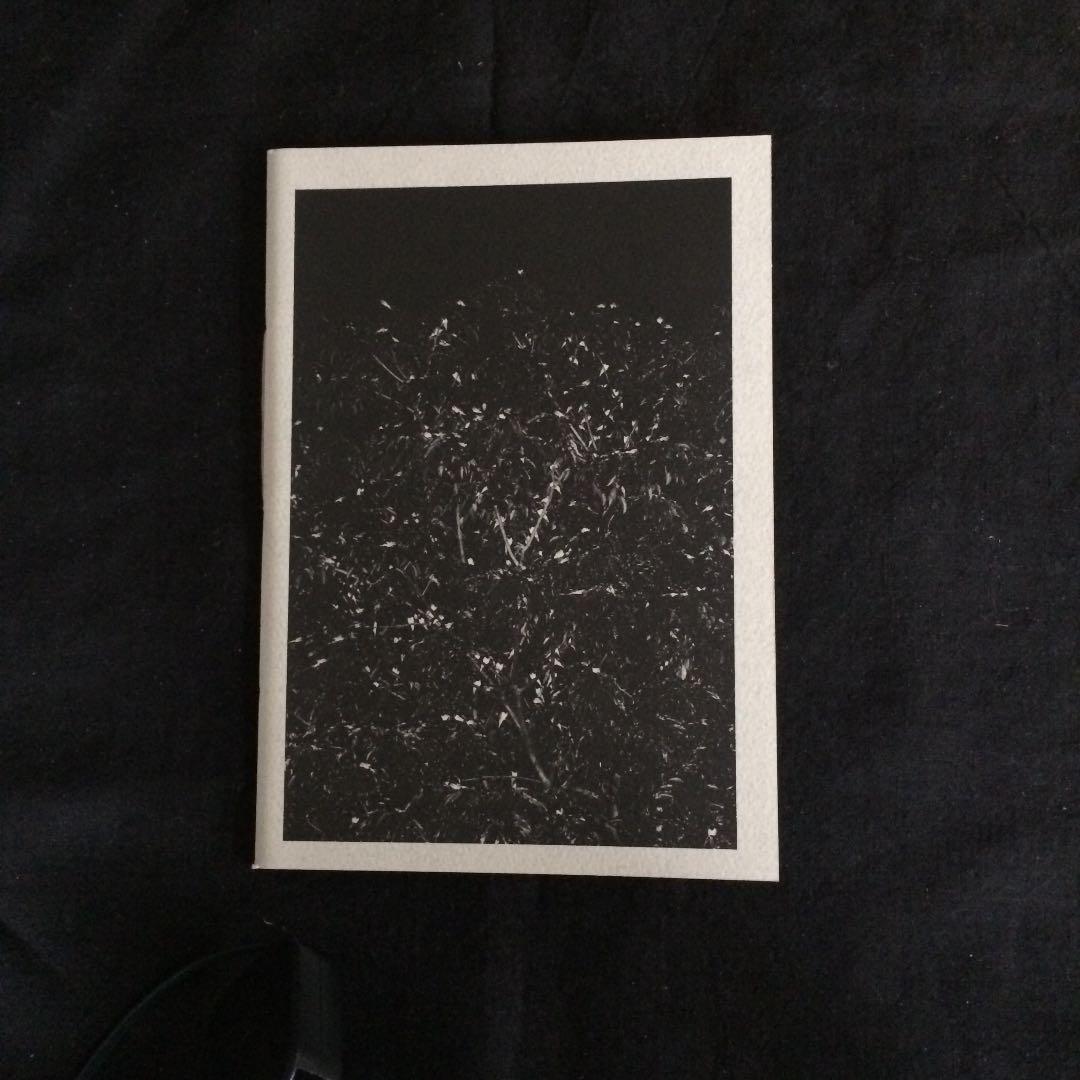 アート・デザイン・音楽 [ zine ] FLOCK vol.1