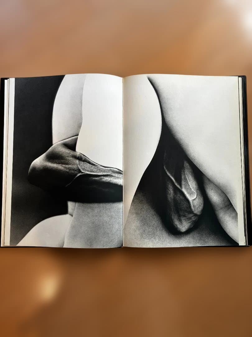 細江英公 写真集 初版「抱擁」 写真評論社