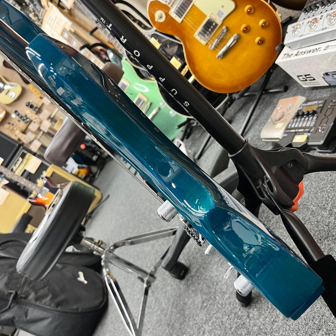 【11650】Edwards E-FR-130GT Forest guitar