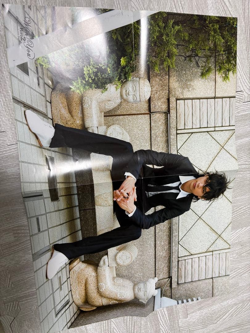 水嶋ヒロ ポストカード　写真集　写真　ポスター　アオイタマゴ　ファンクラブ　特典