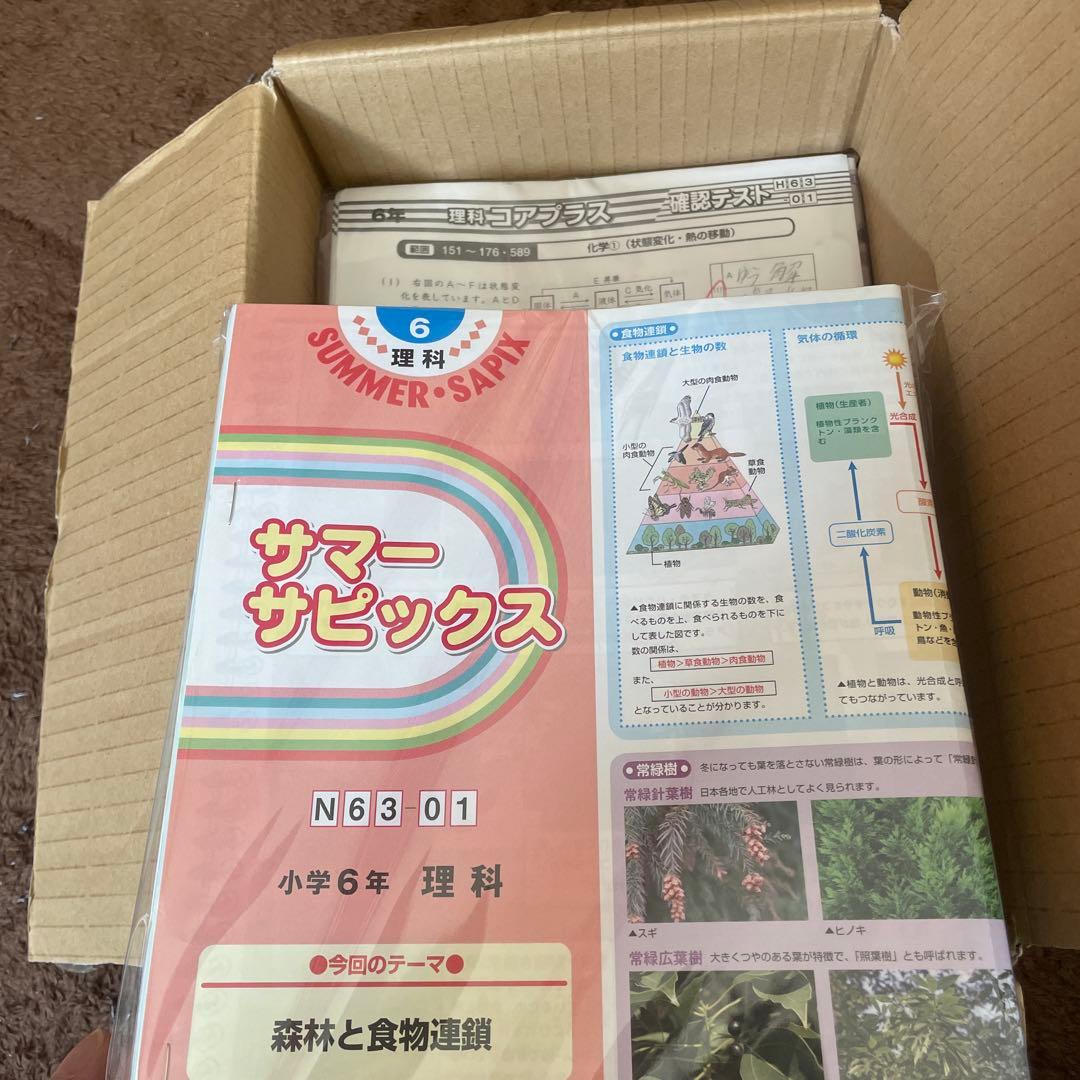 SAPIX 6年　理科　2026年受験　デイリーサピックス 夏、春講習テキスト