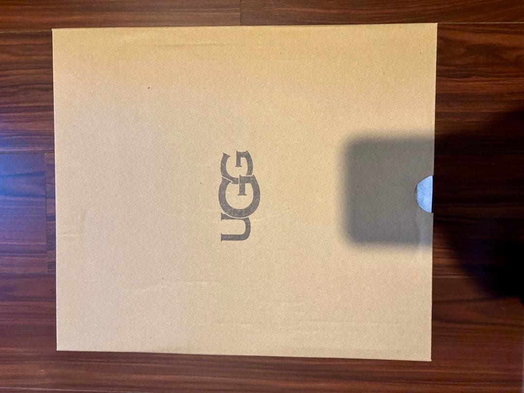 靴 UGG Classic Mini Platform us7