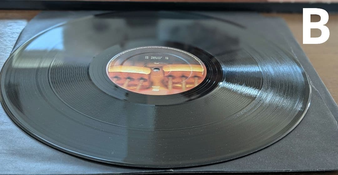 【Aphex Twin】「Drukqs」4LP BOX SET WARPLP92