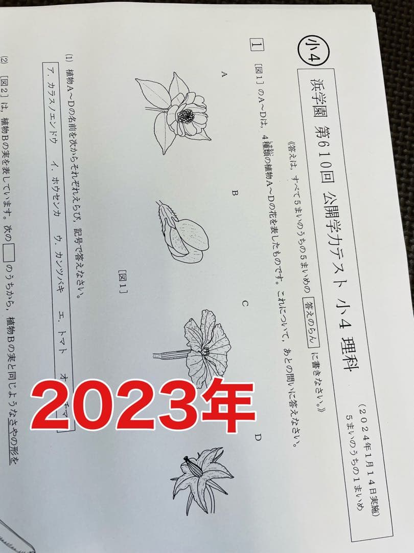 語学・辞書・学習参考書 MII