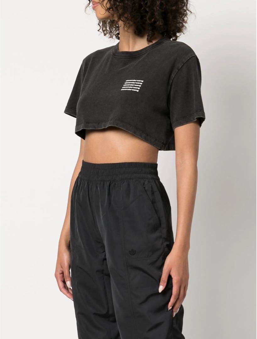 alexanderwang ダークグレー クロップドTシャツ