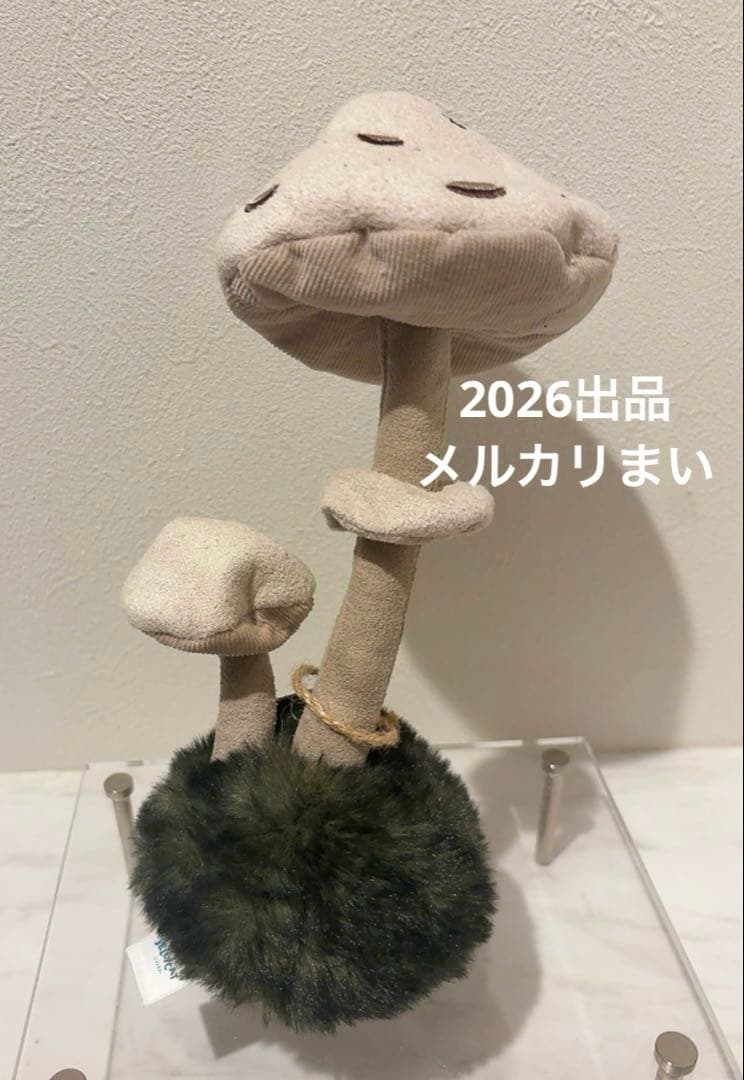  Wild Nature Parasol Mushroom 蕈