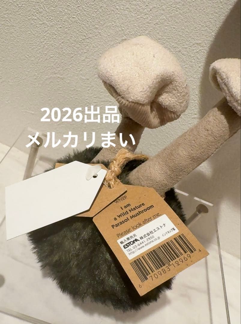  Wild Nature Parasol Mushroom 蕈