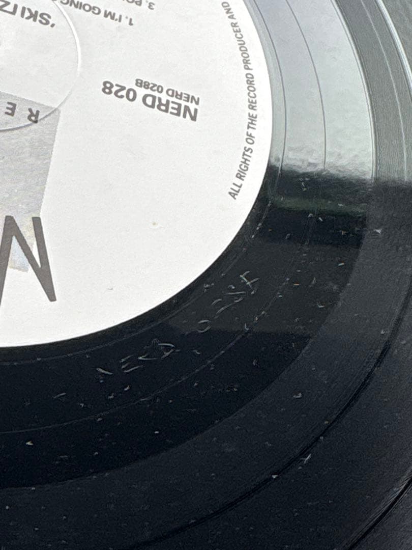 SKITZO MANIA アナログレコード