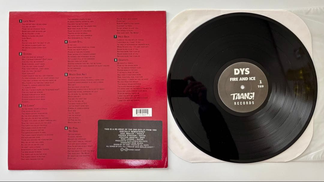 洋楽 DYS Fire & Ice LP