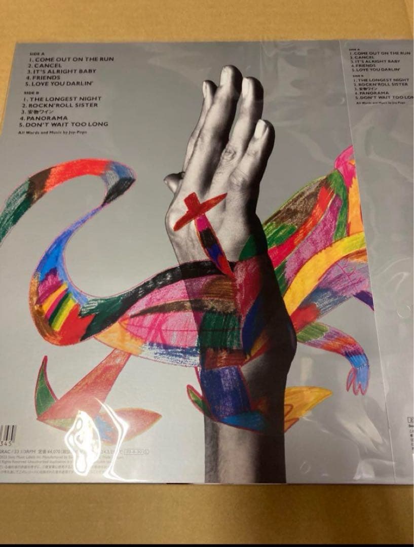 THE STREET SLIDERSNASTYCHILDREN限定盤レコード新品