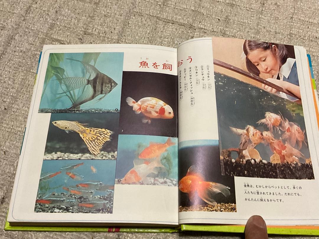 昭和47年3月10日第4刷発行／小学館入門百科シリーズ4。ペットの飼い方。