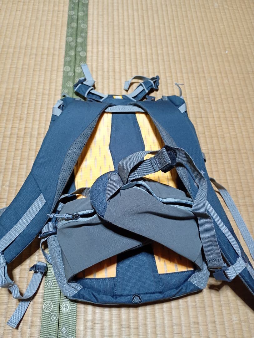 Ruffwear ヒッチハイカードッグバックパックキャリア