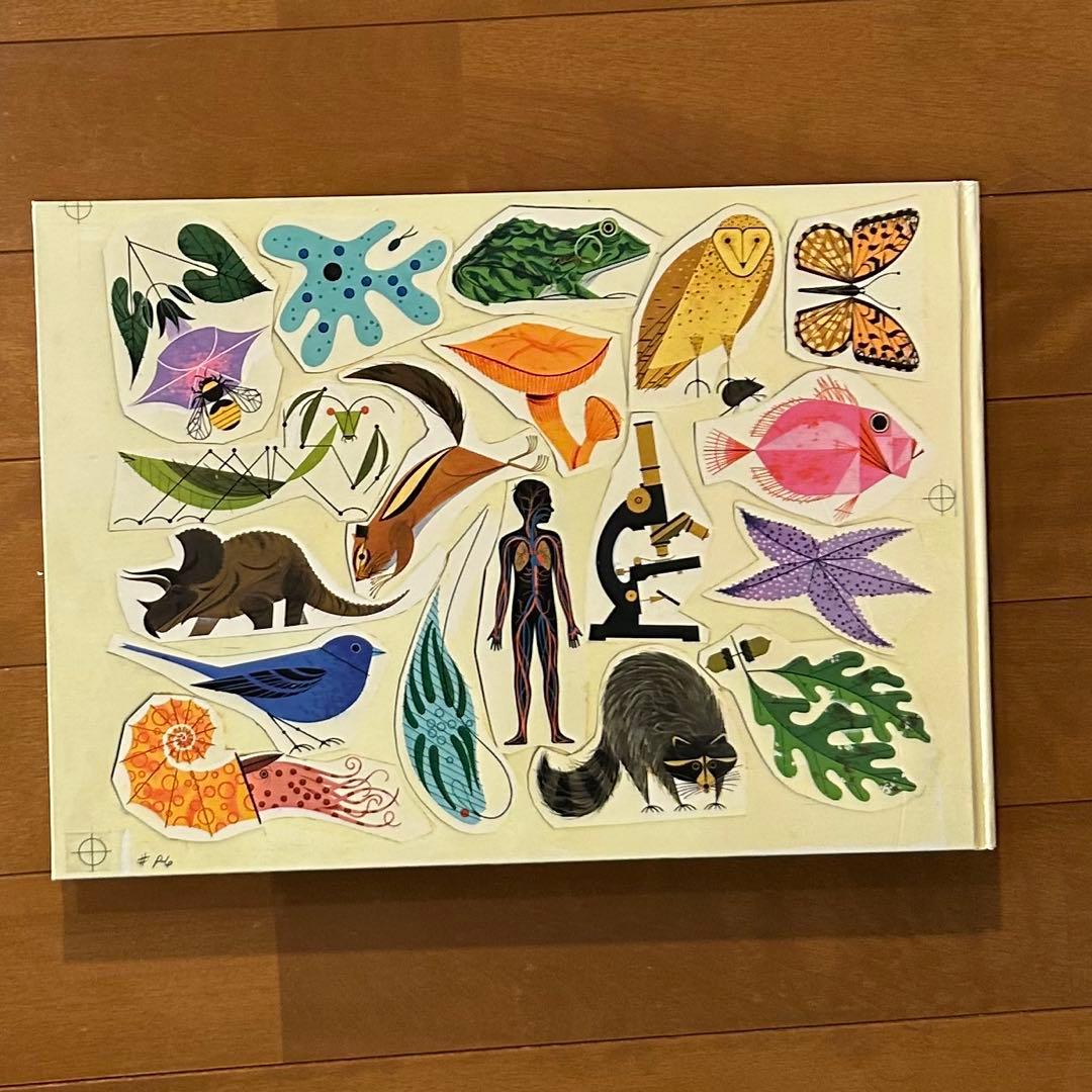 CHARLEY HARPER AN ILLUSTRATED LIFE 画集