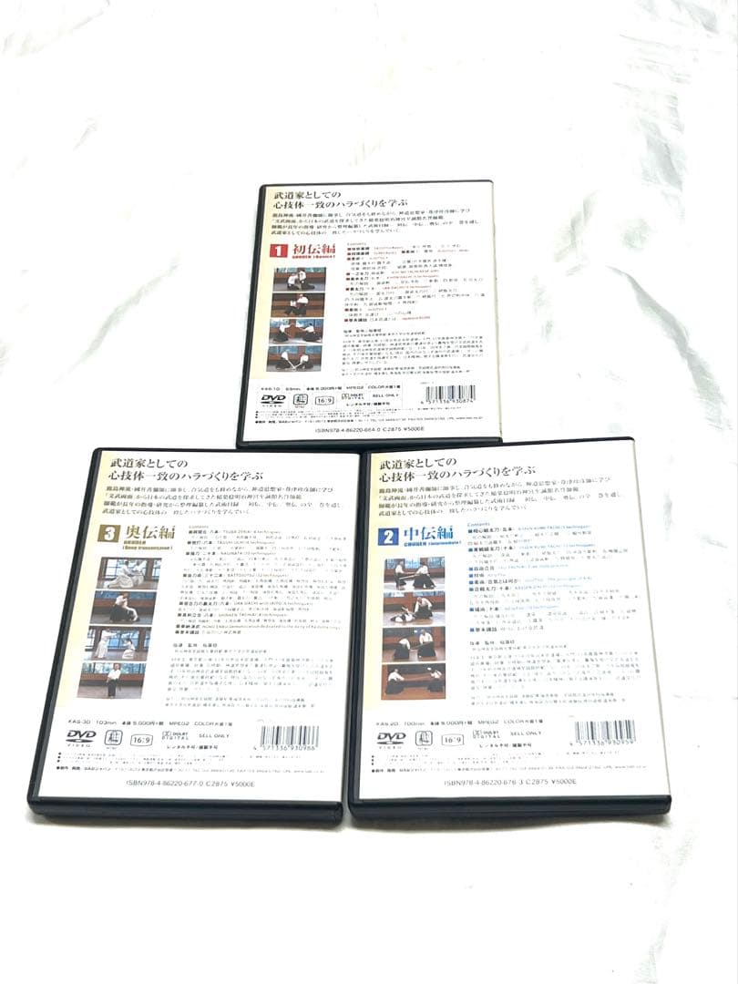 鹿島の秘太刀DVD【初伝 中伝 奥伝】全巻セット