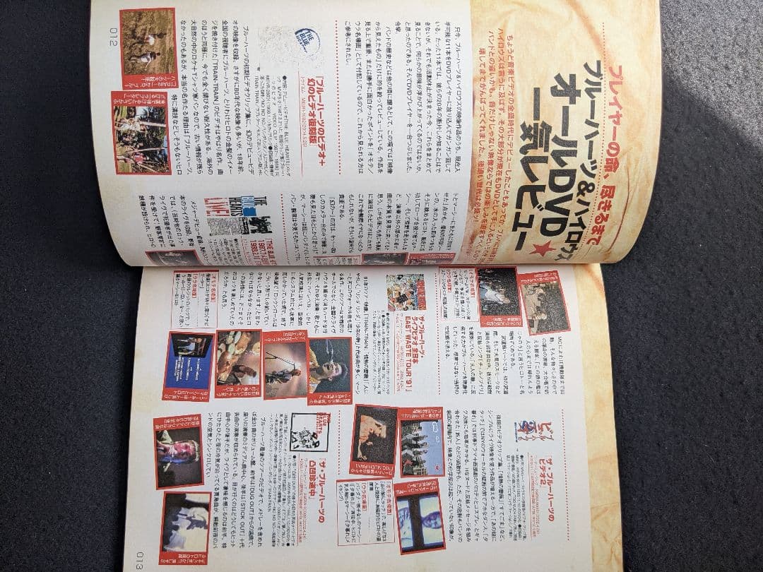 音楽誌が書かないJポップ批評　ブルーハーツ　ハイロウズ　甲本ヒロト　真島昌利