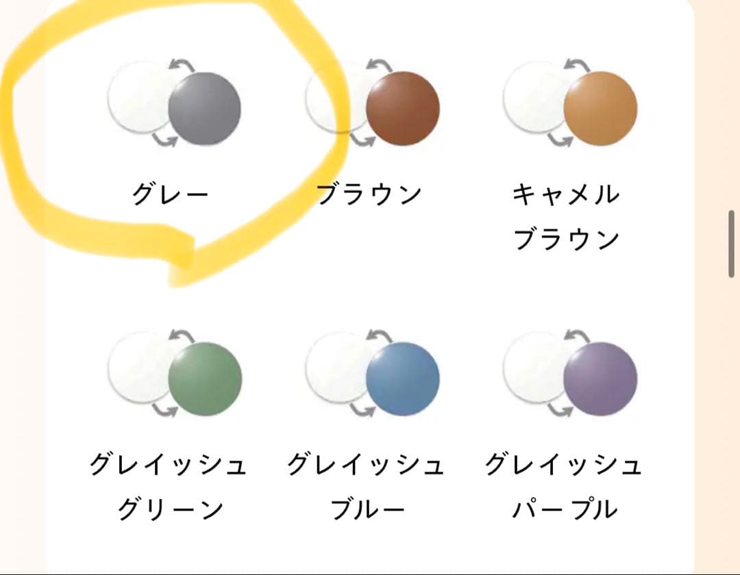 【最終値下げ】 BLANC.. B0024 Silver 調光レンズ サングラス