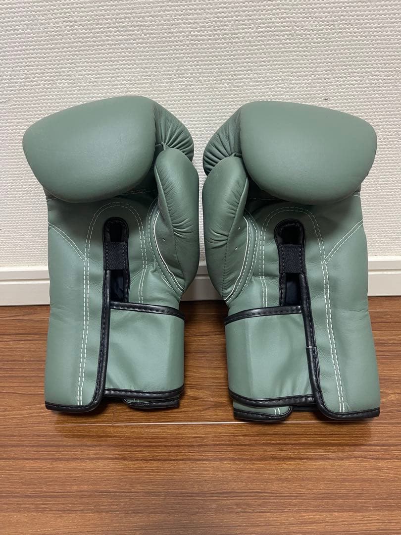 Fairtex F-DAY 12ozグリーン ボクシンググローブ