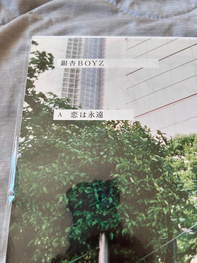恋は永遠 銀杏BOYZ レコード　新品