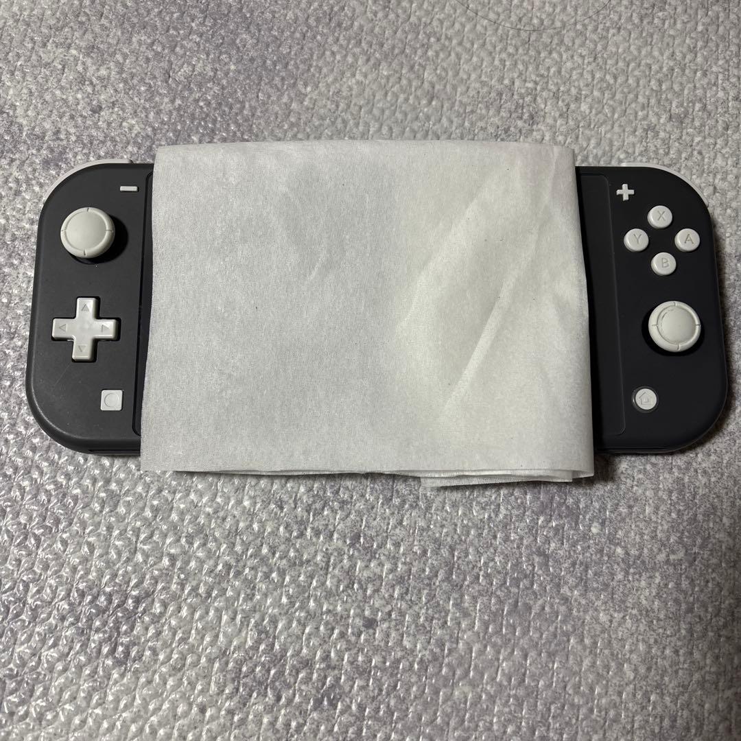 Nintendo Switch ライト本体 ACアダプター付き