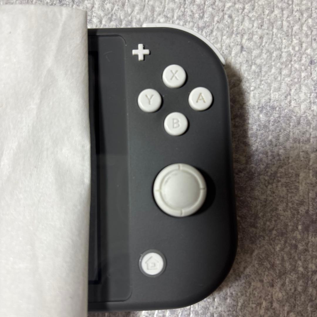 Nintendo Switch ライト本体 ACアダプター付き