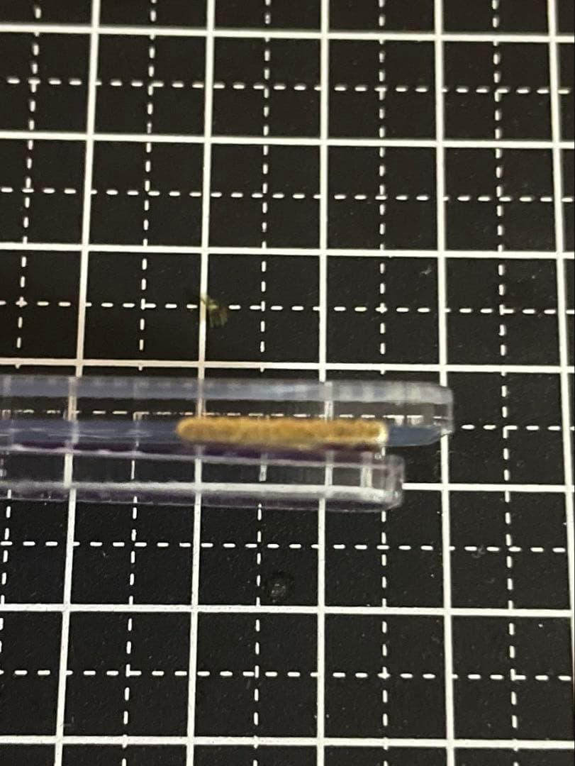 安政二分金　6g