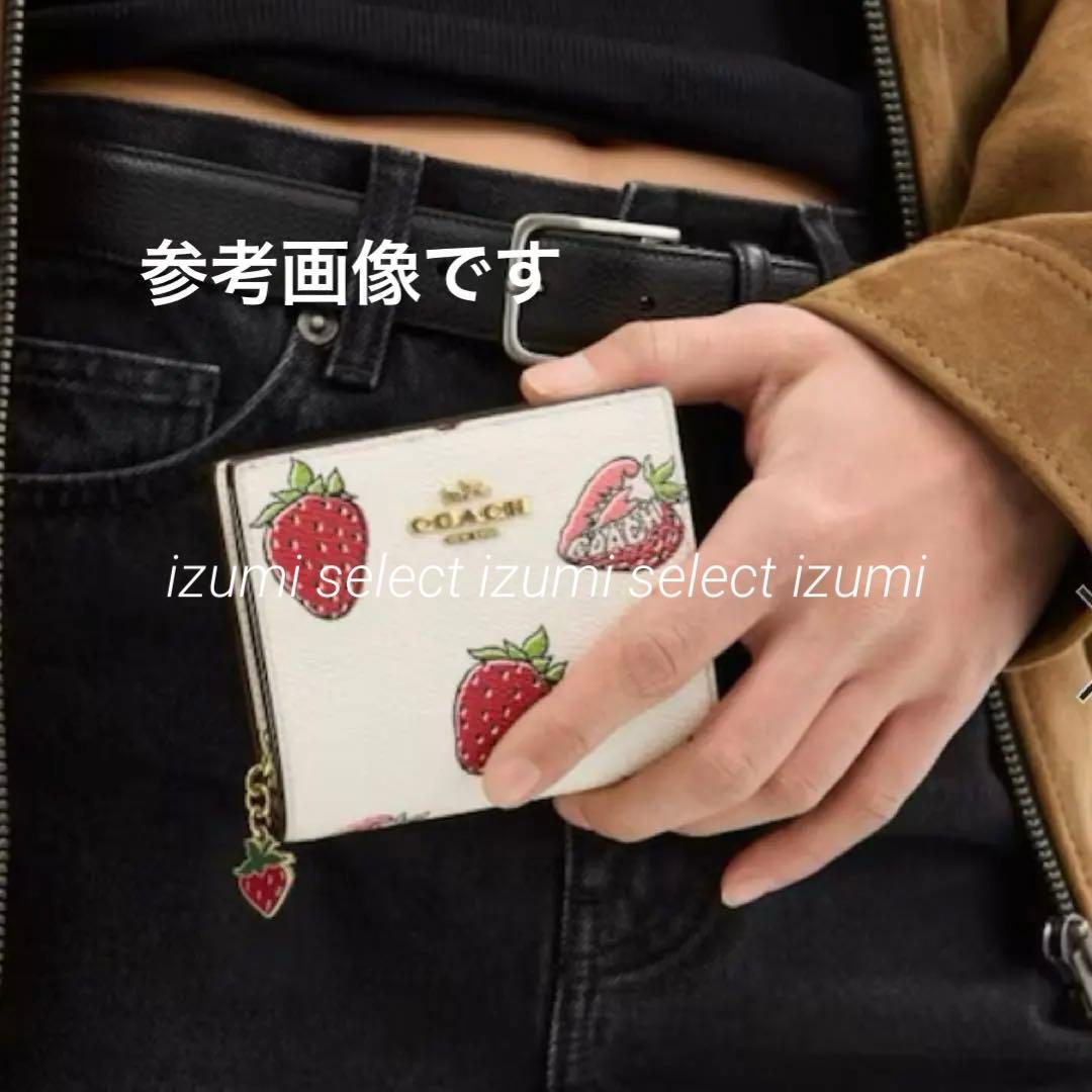 新品未使用‼︎レア‼︎希少　COACHコーチストロベリープリントミニウォレット　苺柄
