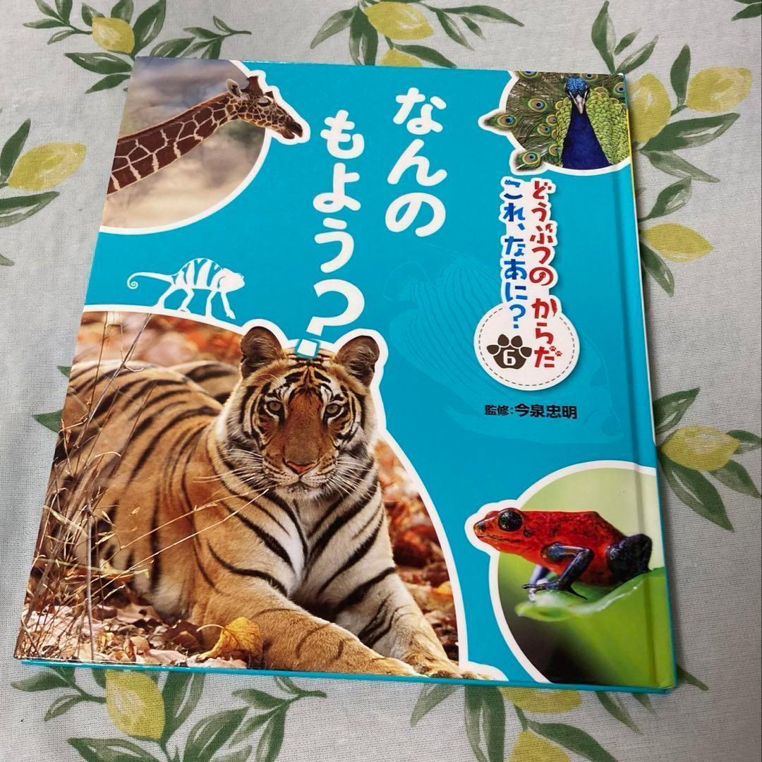 どうぶつのからだ　これ、なあに？ 　絵本　動物 図鑑　5冊セット