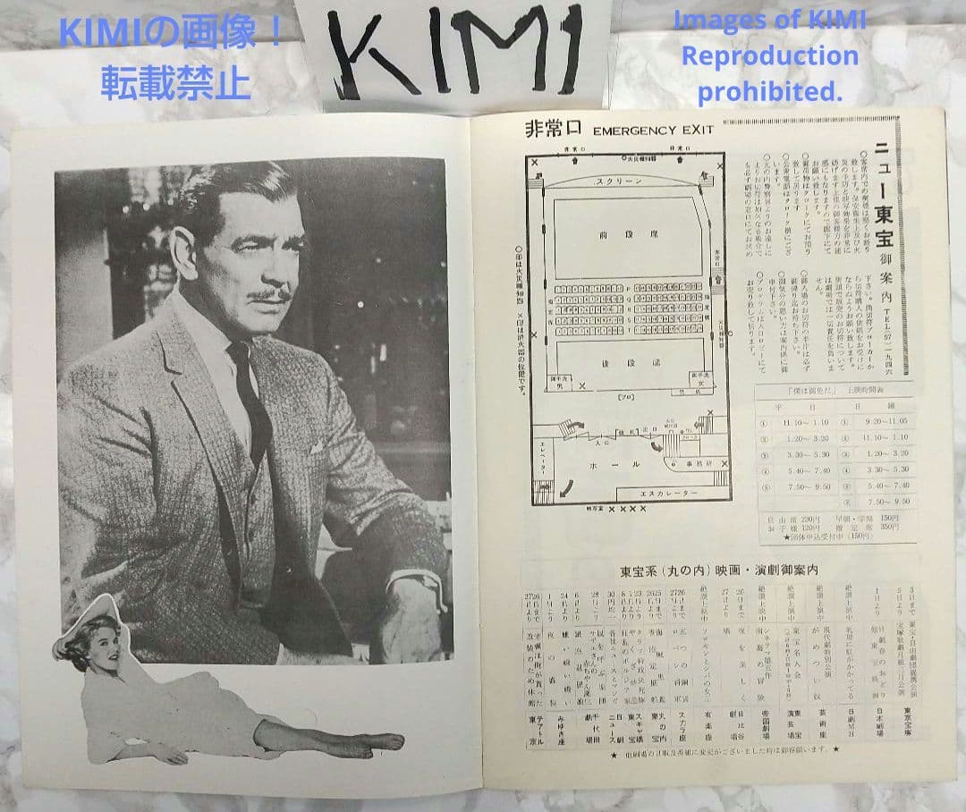 レア 映画パンフレット 僕は御免だ But Not for Me 1960年