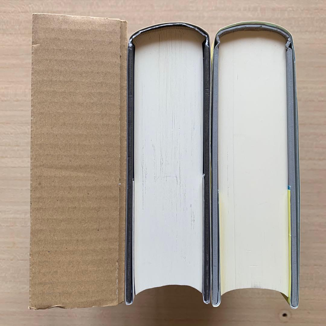ゲーデル,エッシャー,バッハあるいは不思議の環＋メタマジック・ゲーム ２冊セット