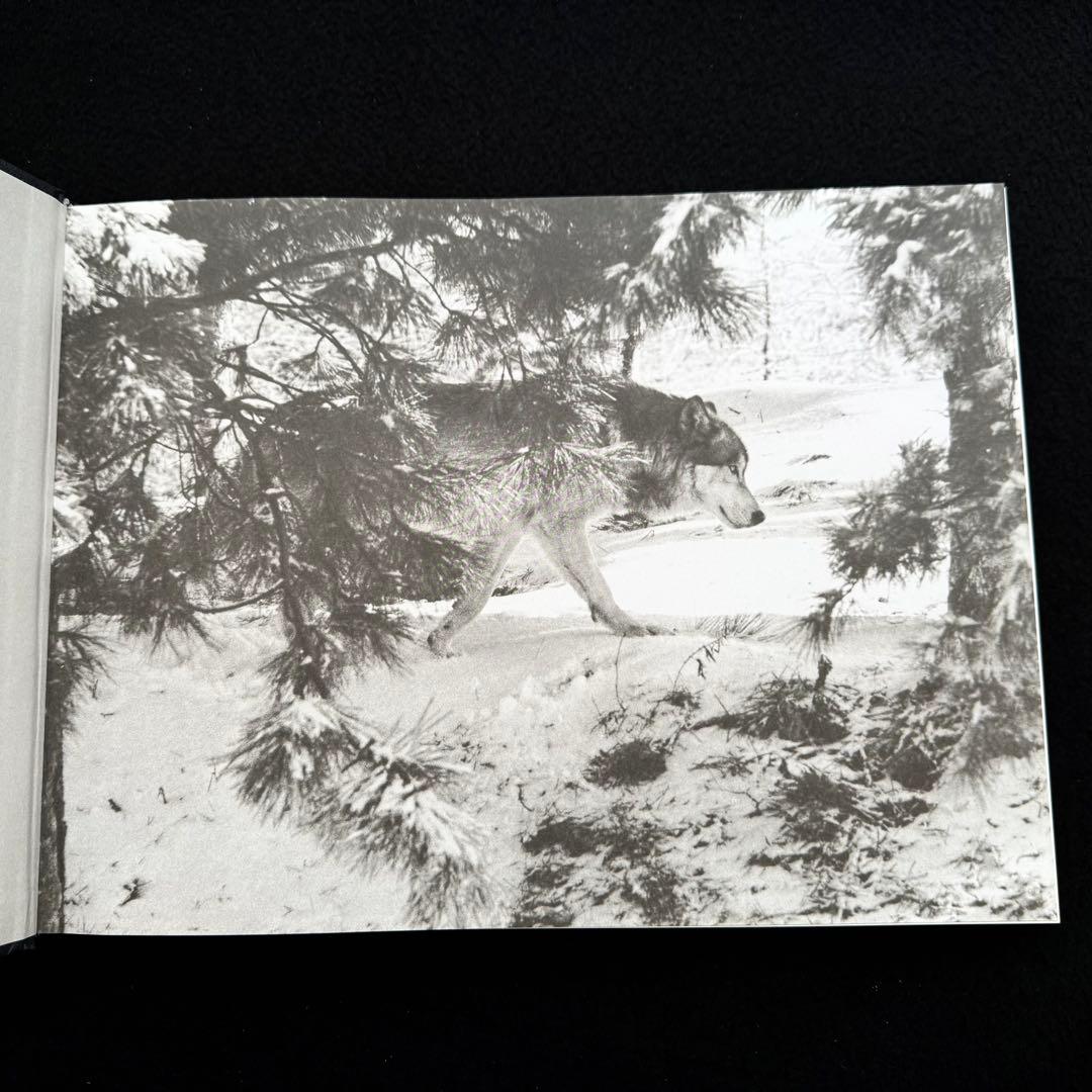 ウルフ 狼 写真集「Wolf Empire」Scott Ian Barry