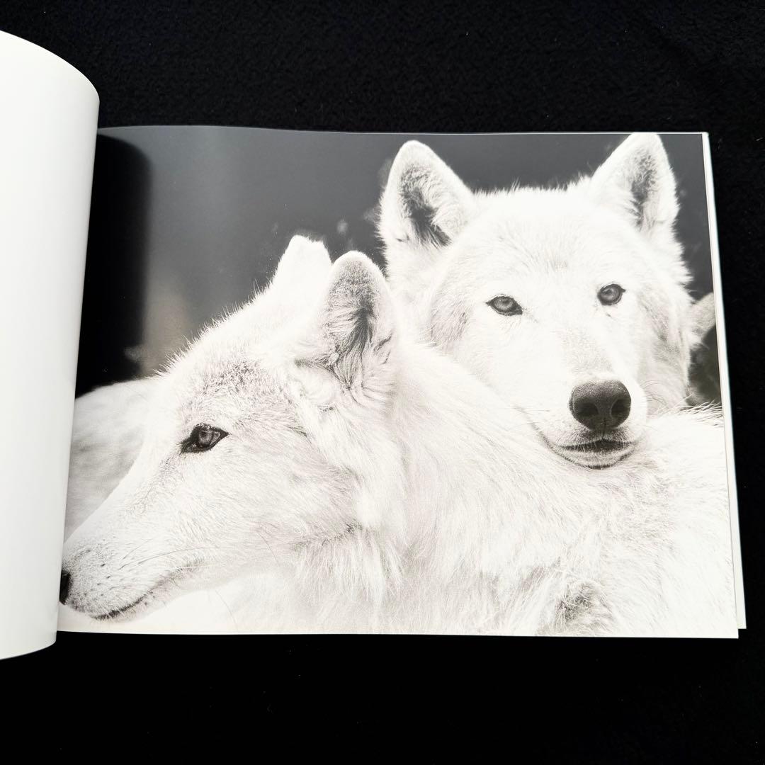 ウルフ 狼 写真集「Wolf Empire」Scott Ian Barry