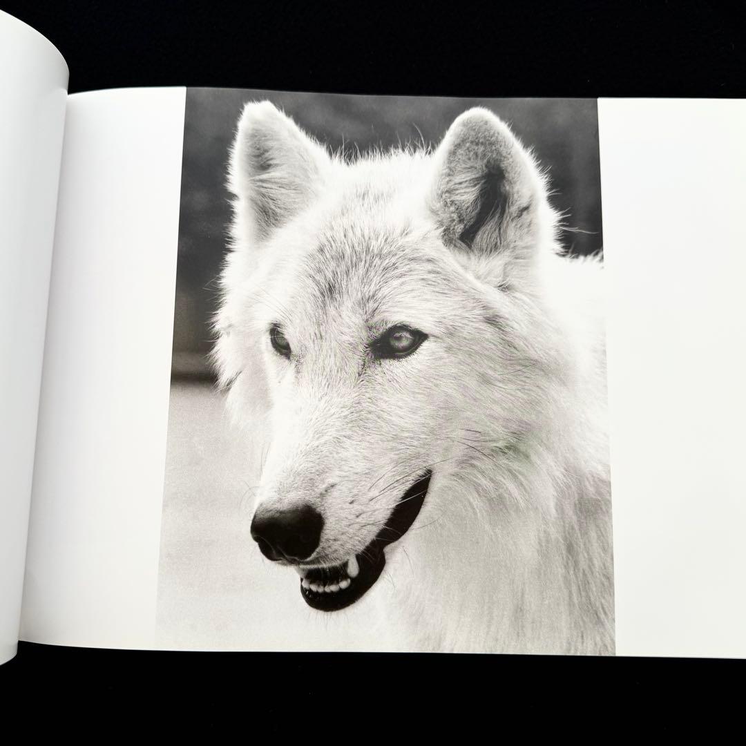 ウルフ 狼 写真集「Wolf Empire」Scott Ian Barry
