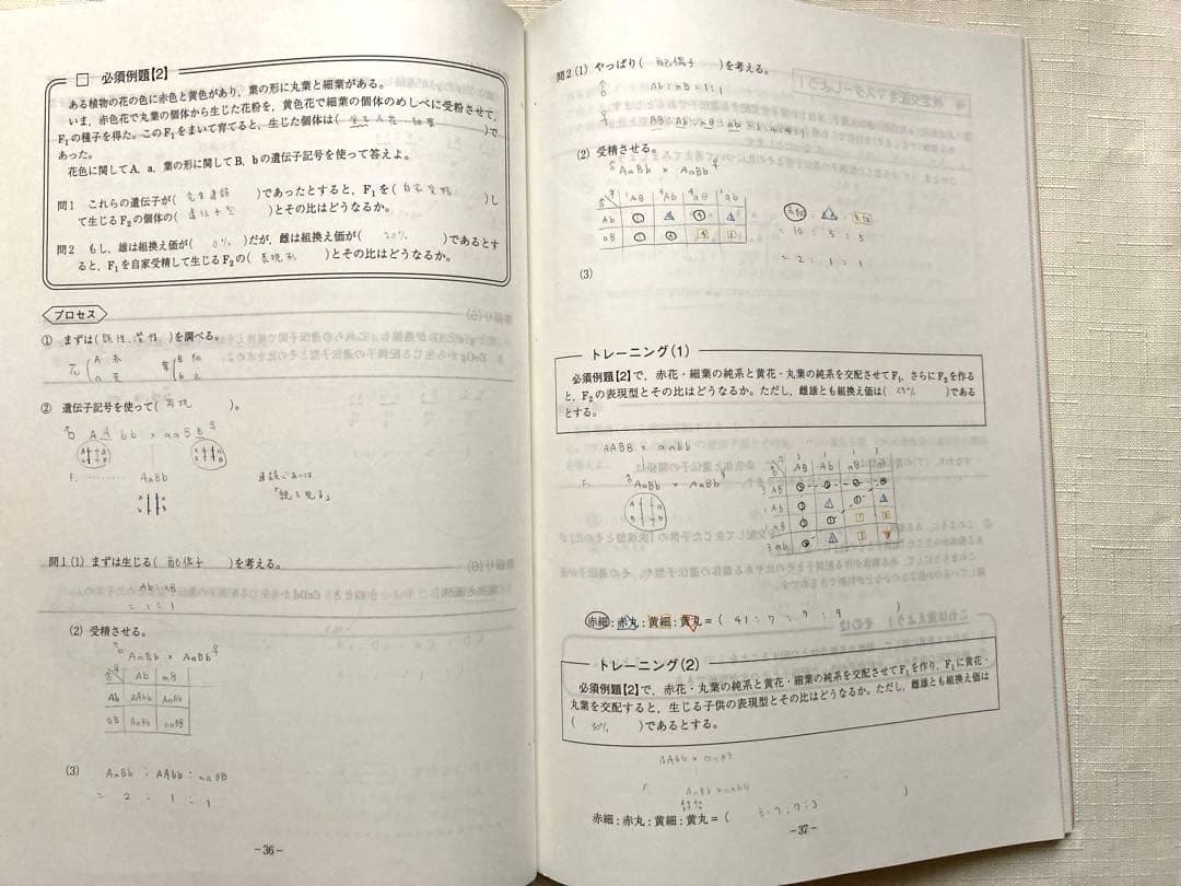 【遺伝問題全て解けるようになる】【大森先生】駿台2024 遺伝特講＋講義プリ付き