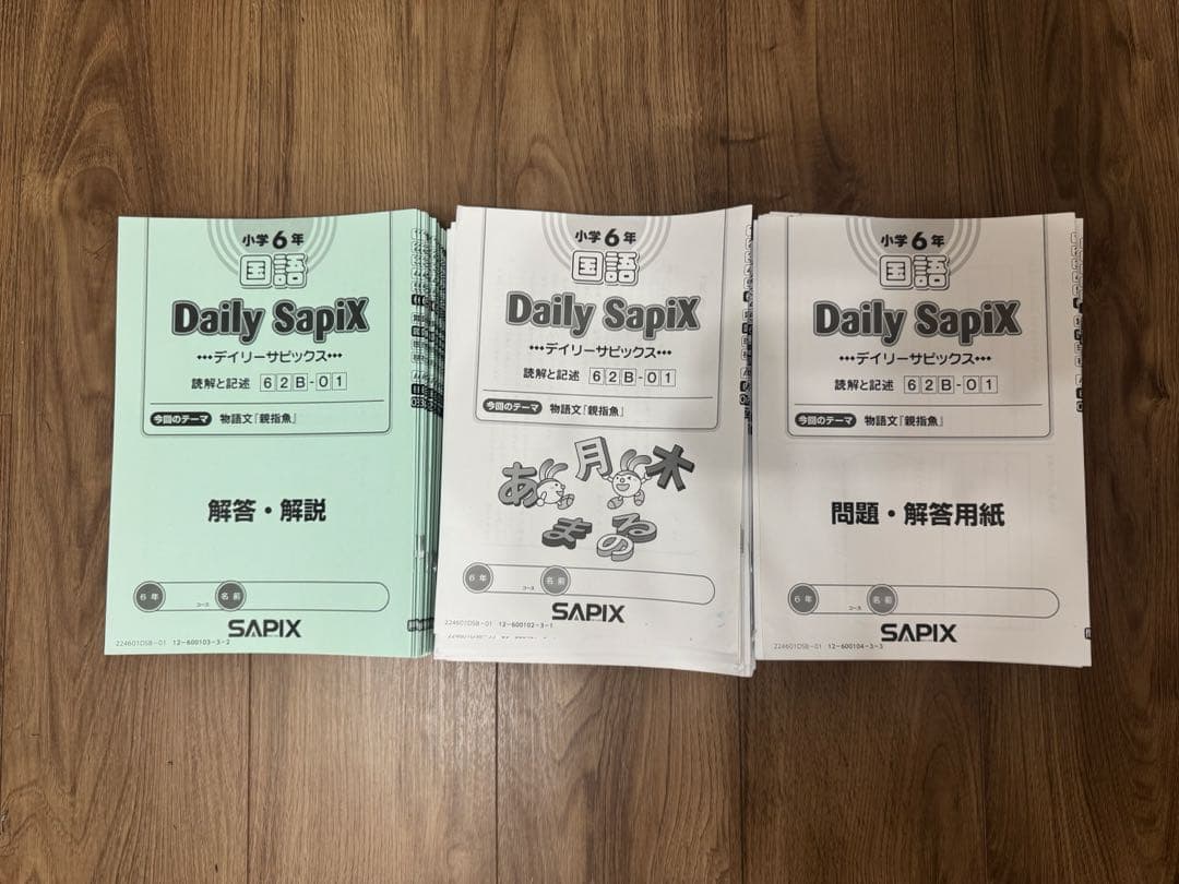 サピックス　国語Daily Sapix 解答・解説と問題回答用紙38セット