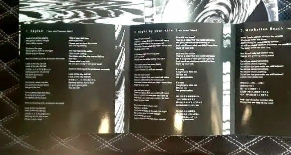 (格安)ONE OK ROCK会場限定available during 2009