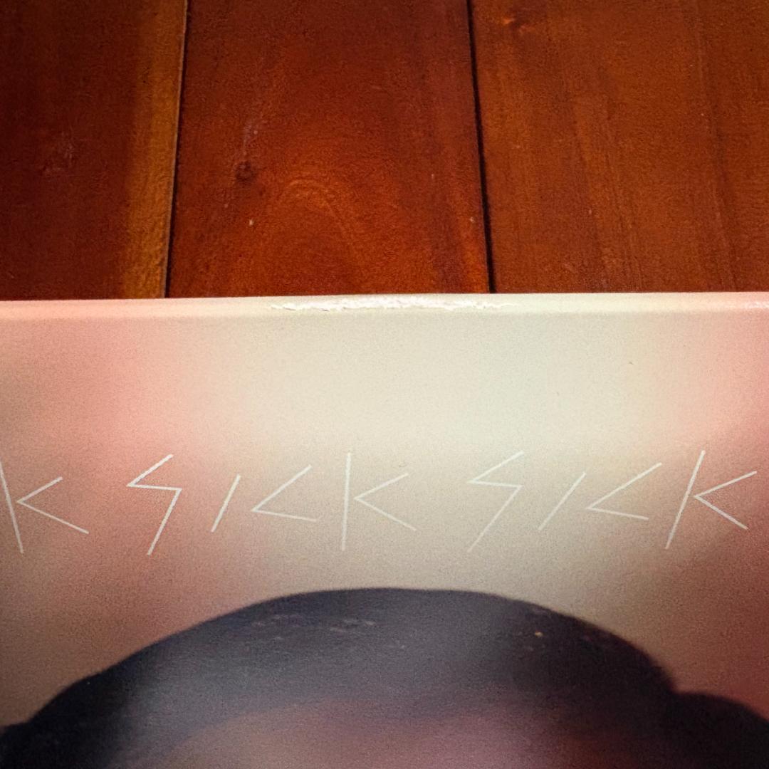 きのこ帝国 佐藤千亜妃 レコード SickSickSickSick