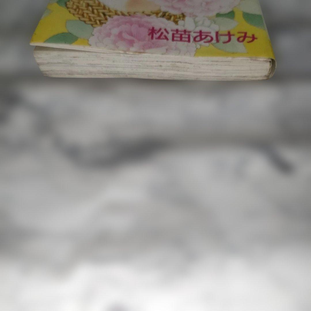 文学　冒険　西遊記　3
