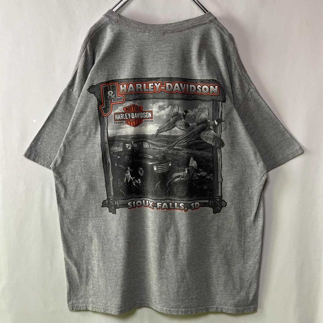 ハーレーダビッドソン　ロードランナー　Tシャツ　ルーニーテューンズ　XL　グレー