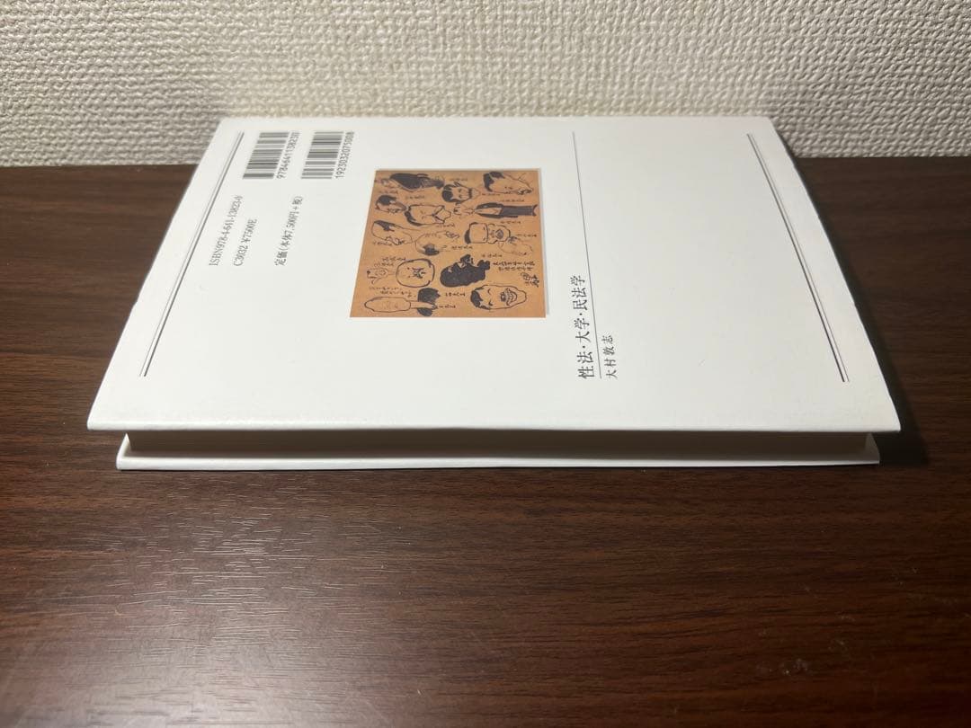 性法・大学・民法学――ポスト司法制度改革の民法学