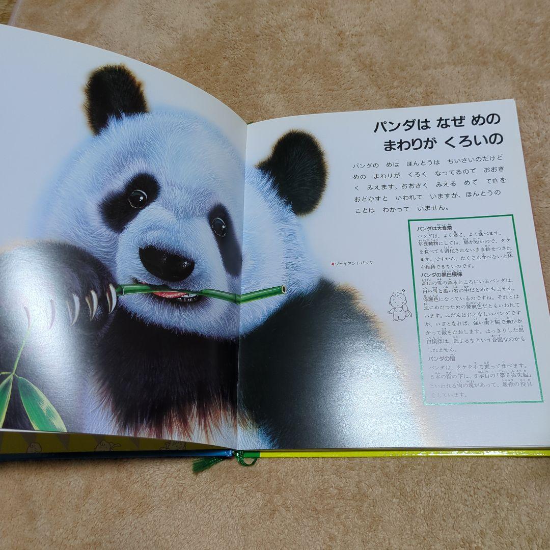 家庭保育園　なぜなにブック 全22冊　絵本　知育教材