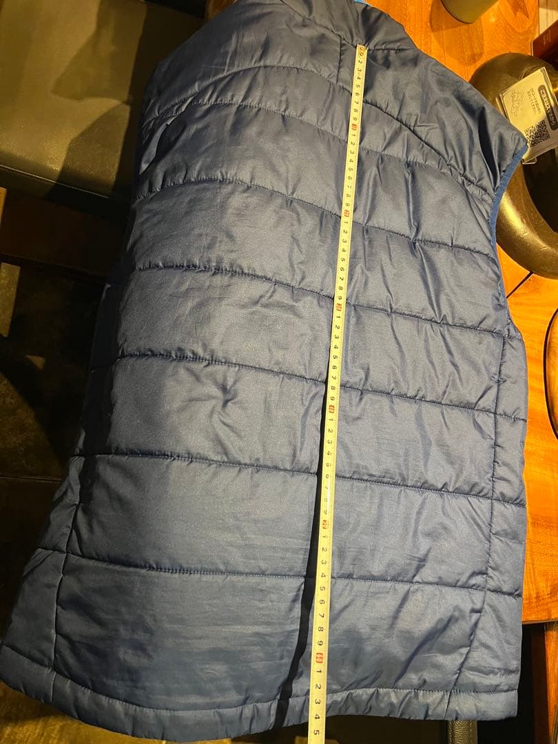 patagonia ダウンベスト M ネイビー/ブルー