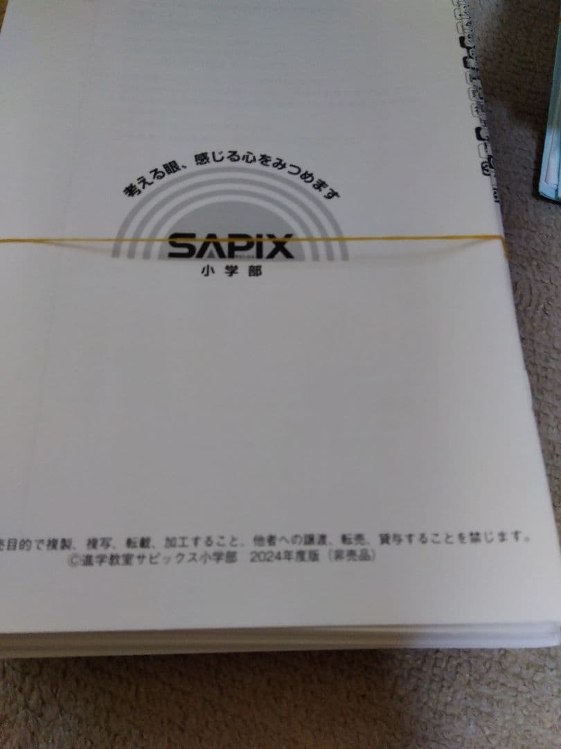 2024年度 サピックス SAPIX 小学6年 算数 ディリーサピックス