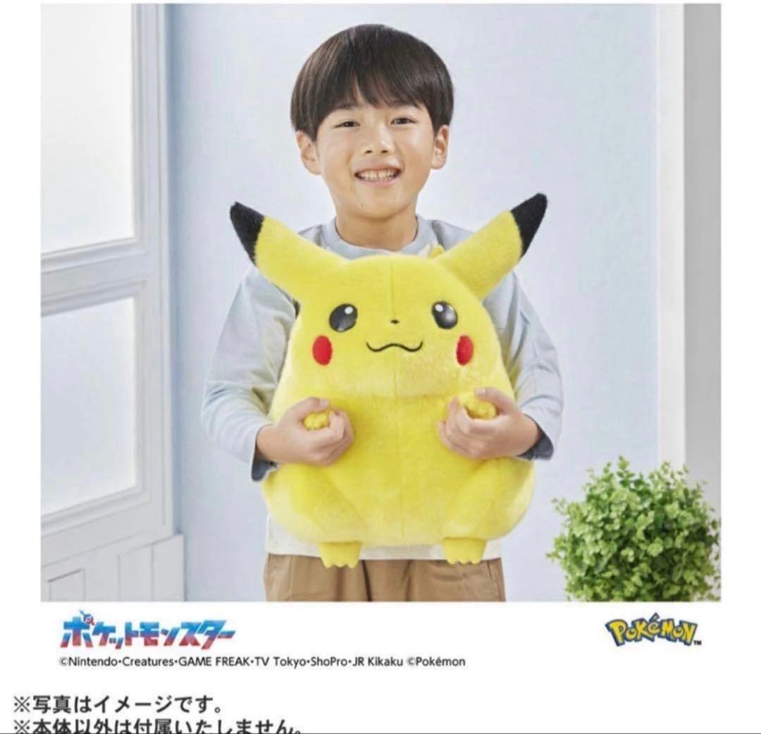 新品未開封 ポケモン30周年記念おかえり!ピカチュウ1/1