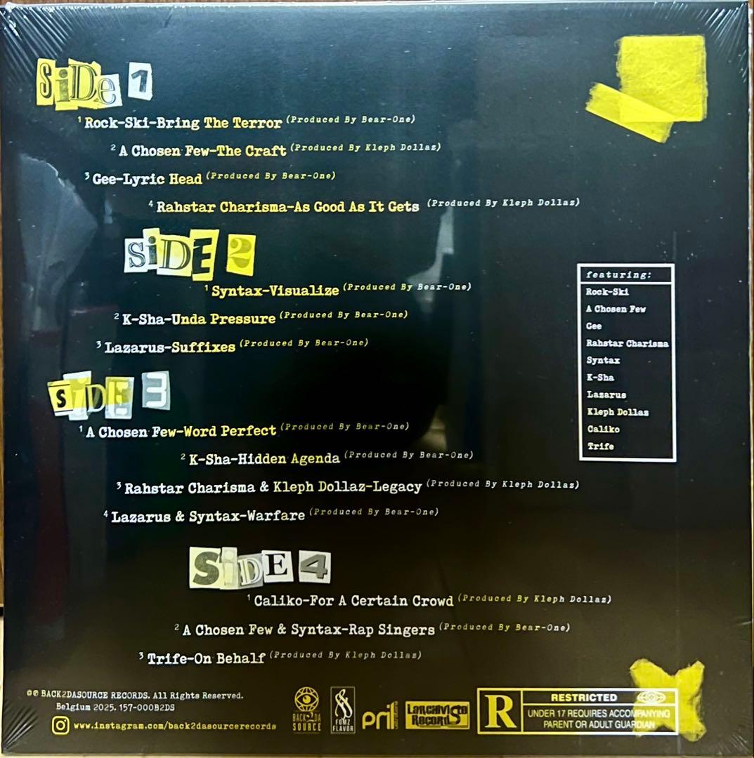 NATURAL ORDER OF THINGS (2LP) レコード