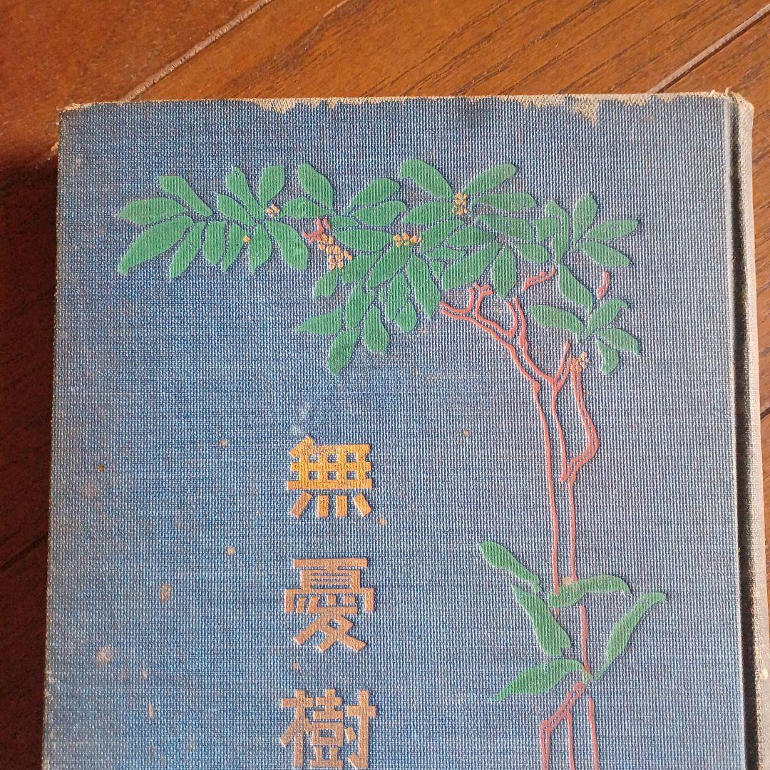 泉鏡花　無憂樹　明治39年　日高有倫堂