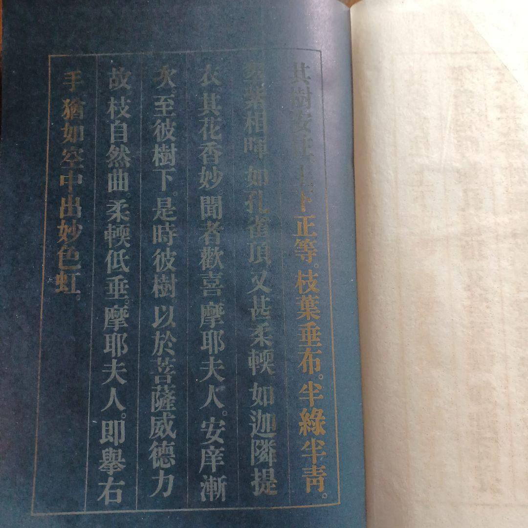 泉鏡花　無憂樹　明治39年　日高有倫堂